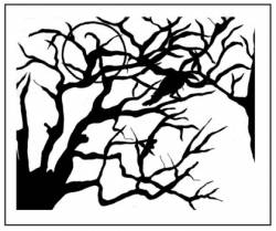 Oak (FRA) : The Flower Fades